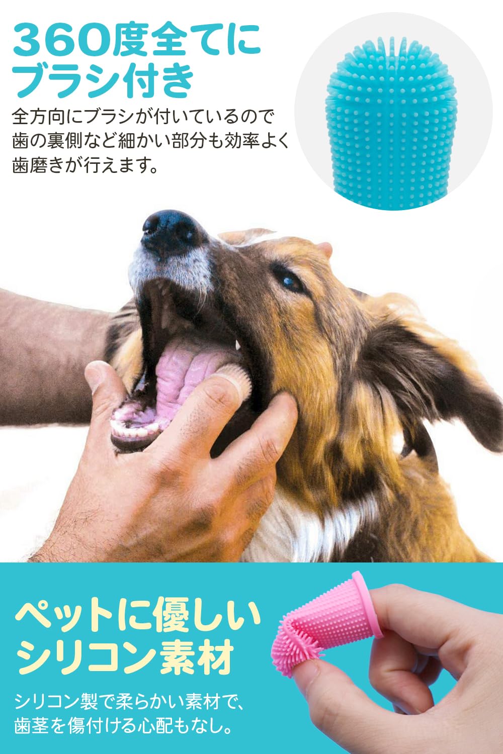 Amazon | [獣医監修] 犬 猫 歯磨き 指サック 歯ブラシ 磨きやすい指
